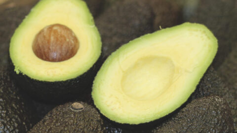 tip-alvocat-maduracio