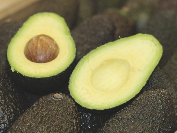 tip-alvocat-maduracio