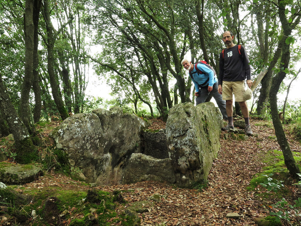 Superverd -