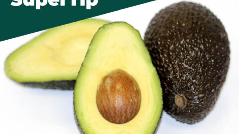 destacado SuperTip aguacate