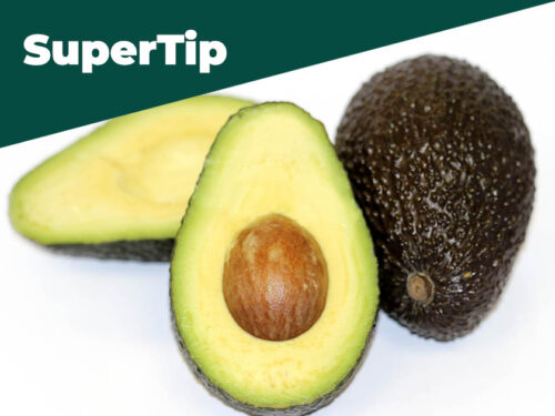 destacado SuperTip aguacate