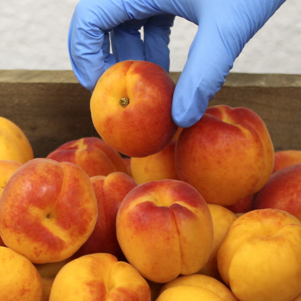 Superverd - Superverd -